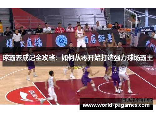 球霸养成记全攻略：如何从零开始打造强力球场霸主