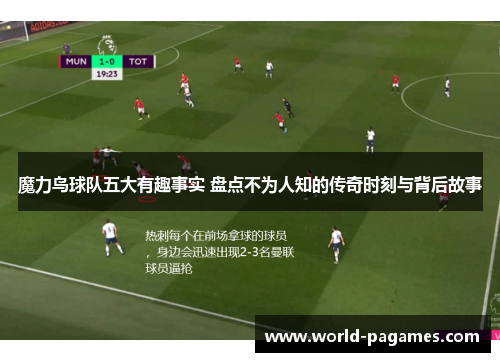 魔力鸟球队五大有趣事实 盘点不为人知的传奇时刻与背后故事