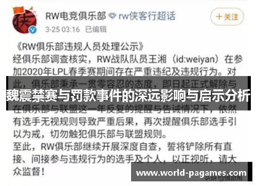 魏震禁赛与罚款事件的深远影响与启示分析