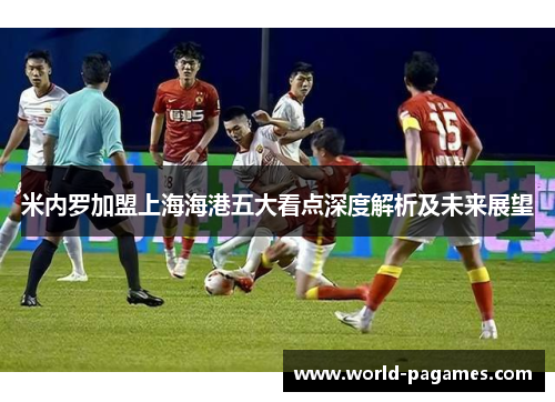 米内罗加盟上海海港五大看点深度解析及未来展望