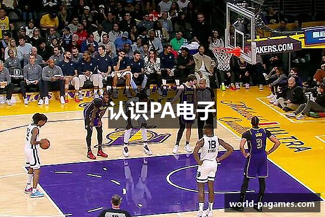 认识PA电子